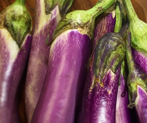 Egg Plants